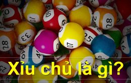 xỉu chủ là gì